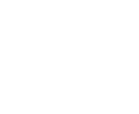 Despacho a tiempo