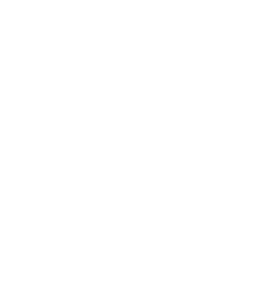 logo de DICTER